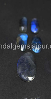 Blue Labradorite Rose Cut Slices